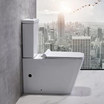 Ceramic Bathroom Floor Mounded Modern Dual-Flush Toilet