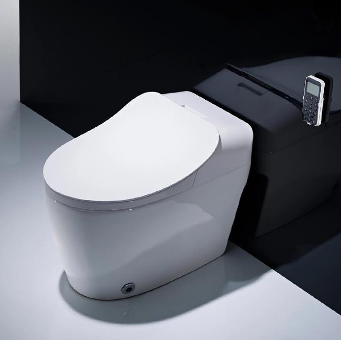 CBM  IntellIgent WC Toilet Electric One Piece Bidet Ceramic Sanitary Ware