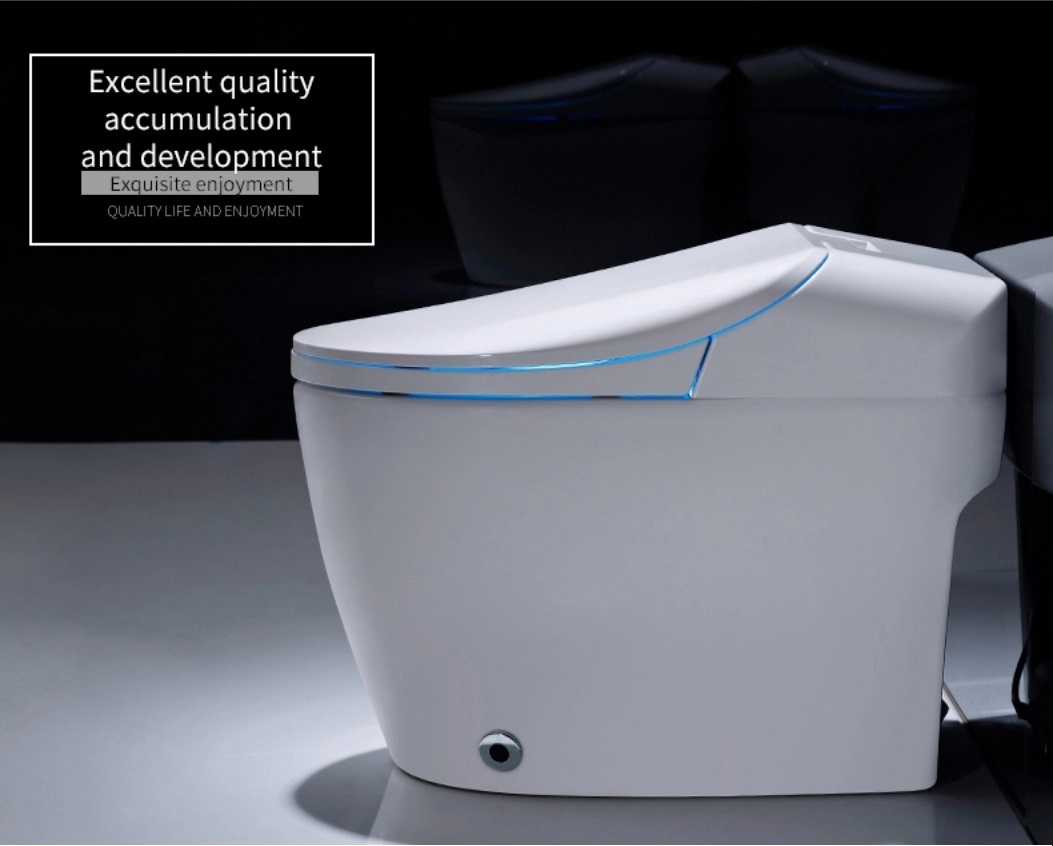 Ceramic Sanitary Ware IntellIgent WC Toilet Electric One Piece Bidet